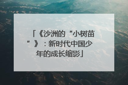 《沙洲的“小树苗”》：新时代中国少年的成长缩影