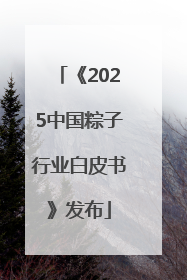 《2025中国粽子行业白皮书》发布