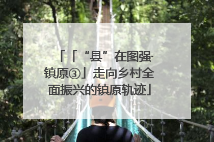 「“县”在图强·镇原③」走向乡村全面振兴的镇原轨迹