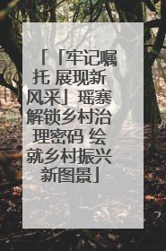 「牢记嘱托 展现新风采」瑶寨解锁乡村治理密码 绘就乡村振兴新图景