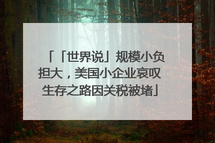 「世界说」规模小负担大，美国小企业哀叹生存之路因关税被堵