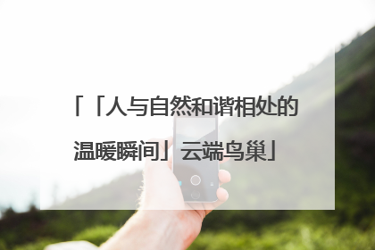 「人与自然和谐相处的温暖瞬间」云端鸟巢