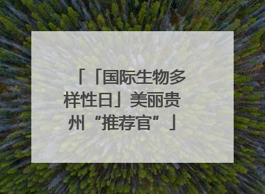 「国际生物多样性日」美丽贵州“推荐官”