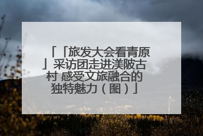 「旅发大会看青原」采访团走进渼陂古村 感受文旅融合的独特魅力（图）