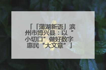 「蒲湖新语」滨州市博兴县：以“小切口”做好数字惠民“大文章”