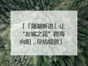 「蒲湖新语」让“友城之花”跨海向阳，尽情绽放