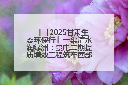 「2025甘肃生态环保行」一渠清水润绿洲：景电二期提质增效工程筑牢西部生态安全屏障
