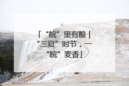 “皖”里有粮｜“三夏”时节，一“皖”麦香