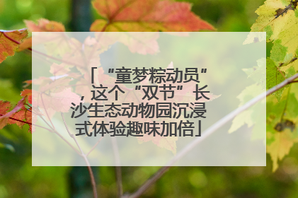 “童梦粽动员”，这个“双节”长沙生态动物园沉浸式体验趣味加倍