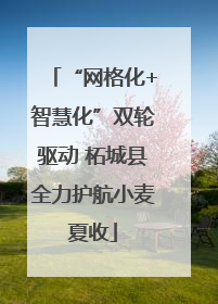 “网格化+智慧化”双轮驱动 柘城县全力护航小麦夏收