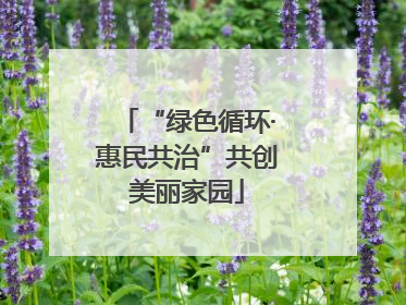 “绿色循环·惠民共治”共创美丽家园