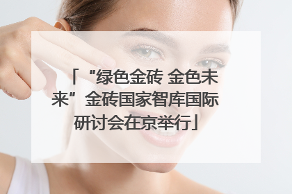 “绿色金砖 金色未来”金砖国家智库国际研讨会在京举行