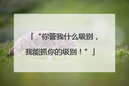“你管我什么级别，我能抓你的级别！”