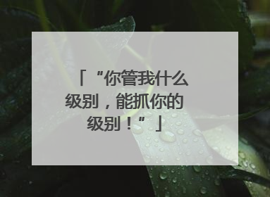 “你管我什么级别，能抓你的级别！”