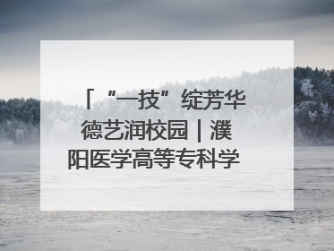 “一技”绽芳华 德艺润校园｜濮阳医学高等专科学校开展丰富多彩的职业教育活动周主题活动