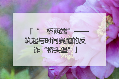 “一桥两端”——筑起与时间赛跑的反诈“桥头堡”
