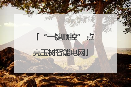 “一键顺控” 点亮玉树智能电网