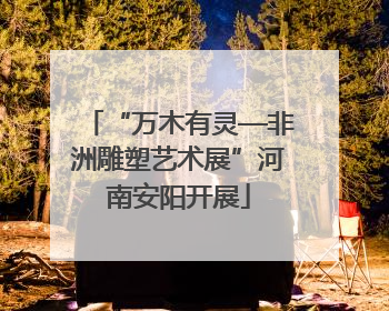 “万木有灵—非洲雕塑艺术展”河南安阳开展