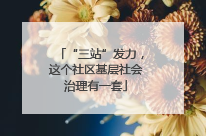 “三站”发力，这个社区基层社会治理有一套