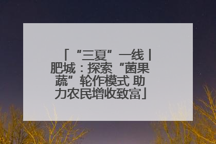 “三夏”一线丨肥城：探索“菌果蔬”轮作模式 助力农民增收致富