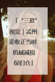 “三夏”视觉｜孟州麦收正当时 机械减损保归仓