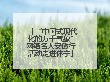 “中国式现代化的万千气象”网络名人安徽行活动走进休宁