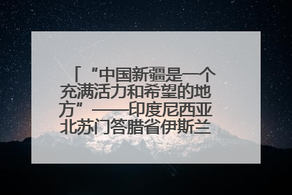 “中国新疆是一个充满活力和希望的地方”——印度尼西亚北苏门答腊省伊斯兰教代表团参访新疆