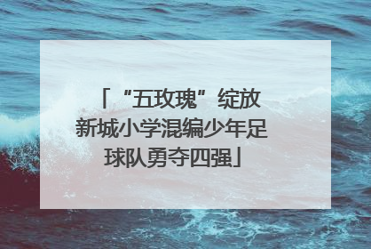 “五玫瑰”绽放 新城小学混编少年足球队勇夺四强