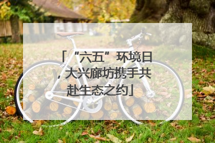 “六五”环境日，大兴廊坊携手共赴生态之约