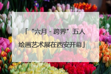 “六月 - 跨界”五人绘画艺术展在西安开幕