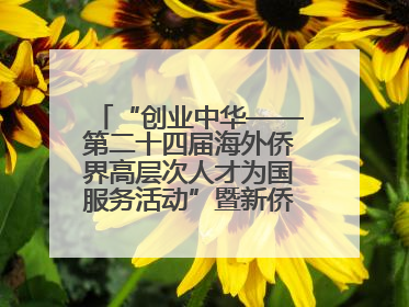 “创业中华——第二十四届海外侨界高层次人才为国服务活动”暨新侨创新创业大会在雄安新区开幕