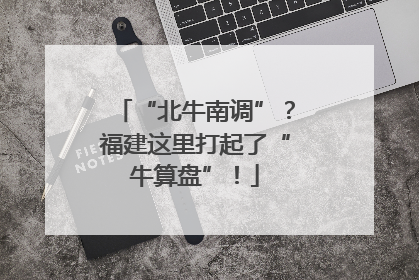 “北牛南调”？福建这里打起了“牛算盘”！