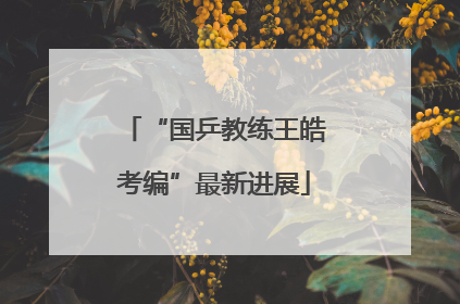 “国乒教练王皓考编”最新进展