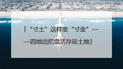 “寸土”这样变“寸金”——四地出招盘活存量土地