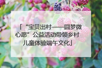 “宝贝出村——圆梦微心愿”公益活动带领乡村儿童体验端午文化