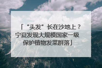 “头发”长在沙地上？宁夏发现大规模国家一级保护植物发菜群落