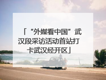 “外媒看中国”武汉段采访活动首站打卡武汉经开区