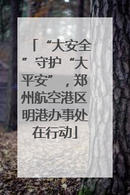 “大安全”守护“大平安”，郑州航空港区明港办事处在行动