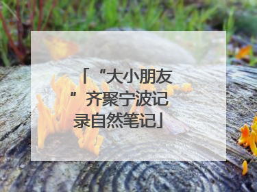 “大小朋友”齐聚宁波记录自然笔记