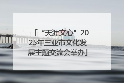 “天涯文心”2025年三亚市文化发展主题交流会举办