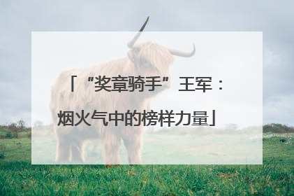 “奖章骑手”王军：烟火气中的榜样力量