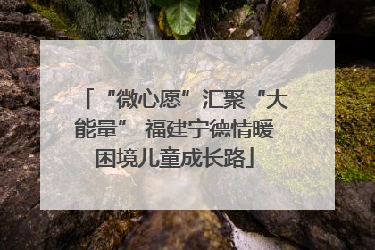 “微心愿”汇聚“大能量” 福建宁德情暖困境儿童成长路