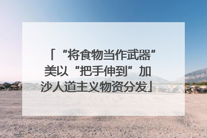 “将食物当作武器” 美以“把手伸到”加沙人道主义物资分发