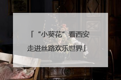 “小葵花”看西安走进丝路欢乐世界