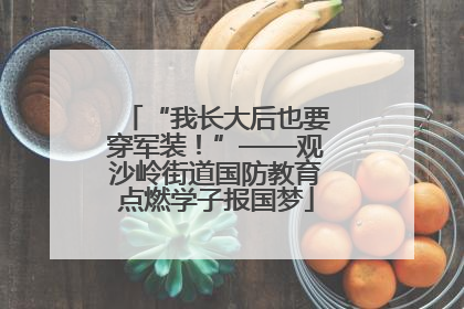 “我长大后也要穿军装！”——观沙岭街道国防教育点燃学子报国梦