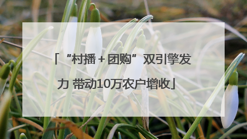 “村播＋团购”双引擎发力 带动10万农户增收