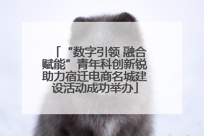 “数字引领 融合赋能”青年科创新锐助力宿迁电商名城建设活动成功举办