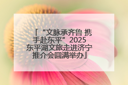 “文脉承齐鲁 携手赴东平”2025东平湖文旅走进济宁推介会圆满举办