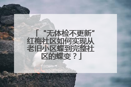 “无体检不更新”红梅社区如何实现从老旧小区蝶到完整社区的蝶变？