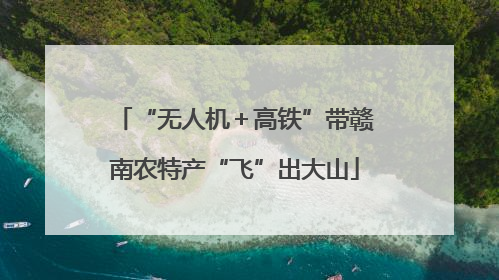 “无人机＋高铁”带赣南农特产“飞”出大山